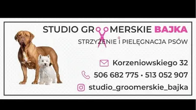 Studio groomerskie Bajka - Strzyżenie i Pielęgnacja Psów